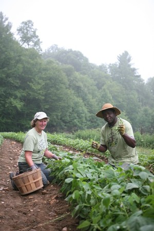 Seven Springs Farm