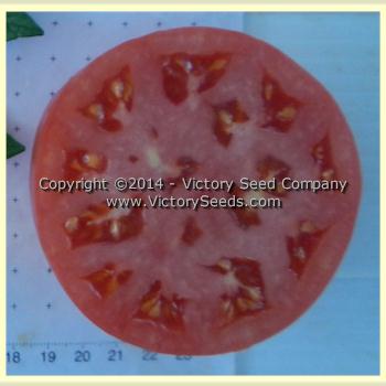 Beefsteak Tomato - Victory Seeds® – Victory Seed Company