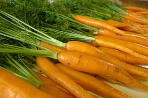 Footpath Farm