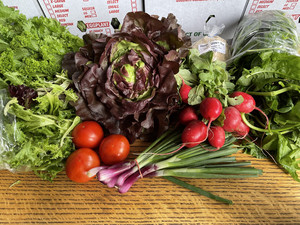 Riverview Farms