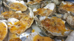 The Great Wicomico Oyster Company