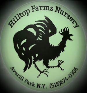 Hilltop Farms Nursery