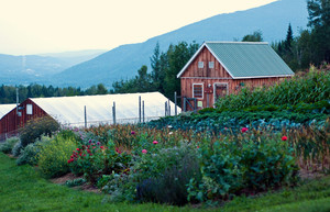 New Earth Organic Farm