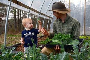 Rora Valley Farms