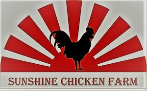 Sunshine Chicken Farm