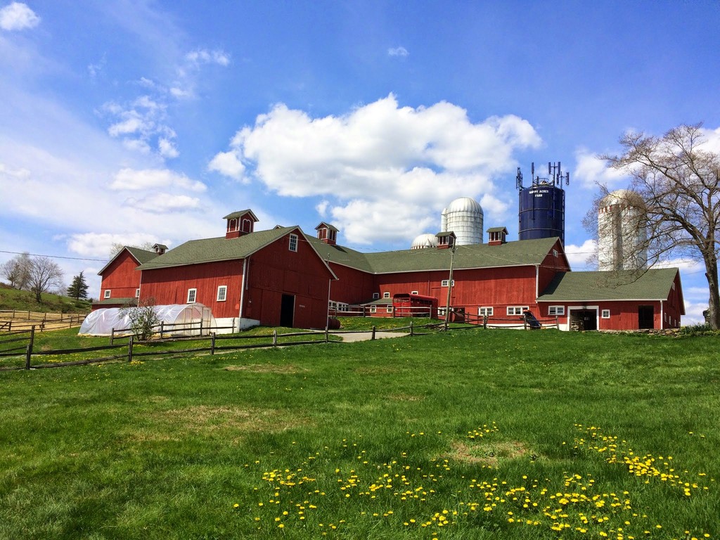 Happy Acres Farm - LocalHarvest