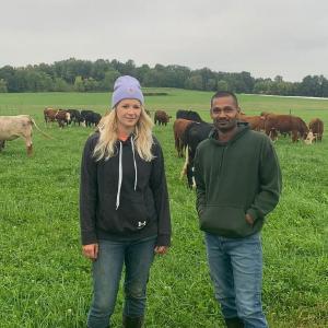 Golden Bear Farms