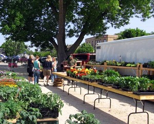 Old Dundee Farmer's Market - LocalHarvest