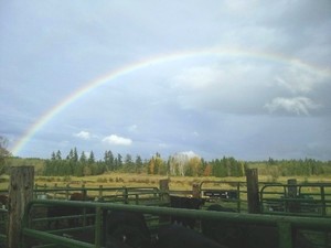 Eaglemount Farm