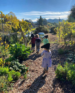 Cloverfield Organic Farm