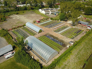 The Talking Farm