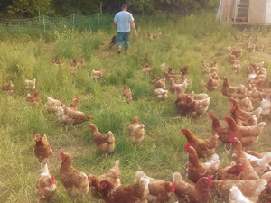 DaSilva Farm
