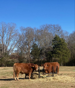 Strickland Ranch