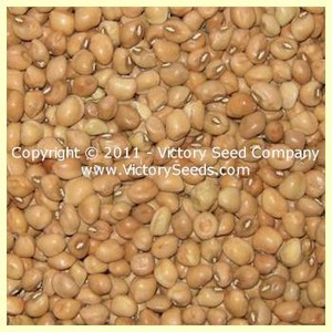 Mississippi Silver Hull Bean-Crowder Cowpeas