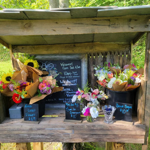 The Bumbling Bee Flower Farm