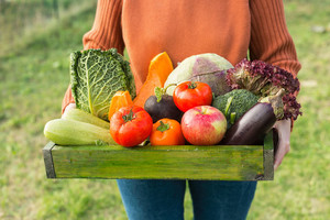 Garden of Hope CSA