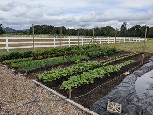 Eagle Wing Acres
