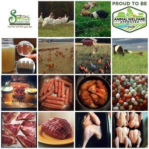 Serendipity Farms