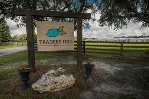Traders Hill Farms