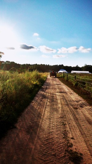 Freedom Food Farm