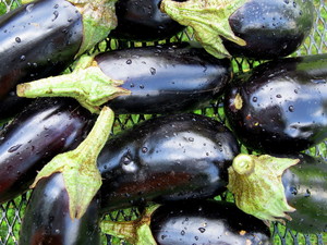 Nature's Table Food Club