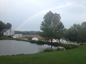 Olde Pine Spring Farm