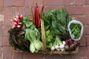Fall Creek Farms