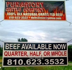 Purgatory Cattle