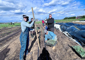 WhiteStall Farm, LLC