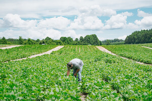 Revis Farms