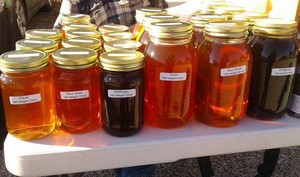 Sourwood Honey