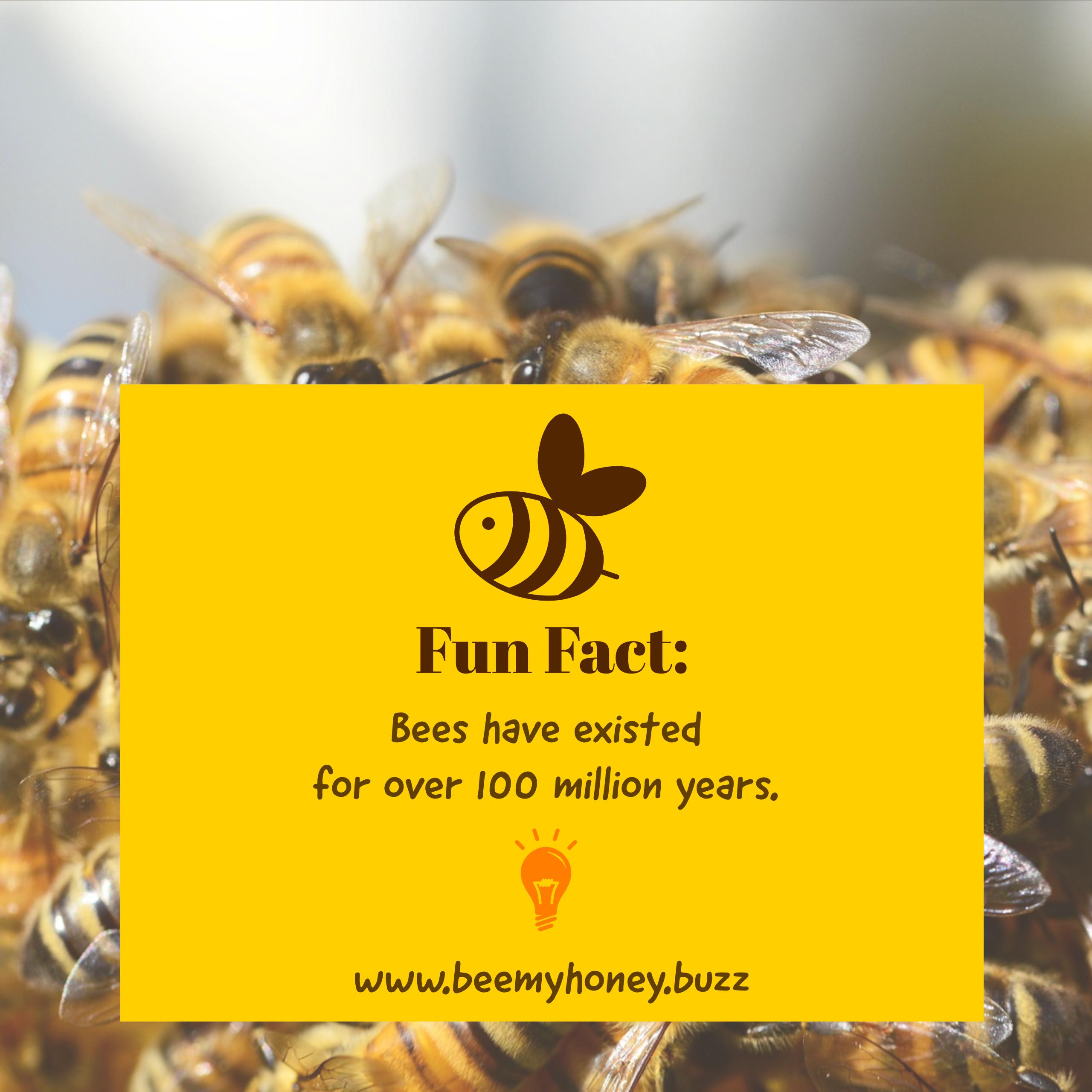 Fun Fact 100 million.jpg
