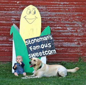 Stoneman's Famous Sweet Corn