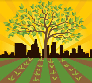 South Central Farmers' Cooperative