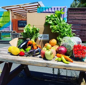 Community Roots Farm