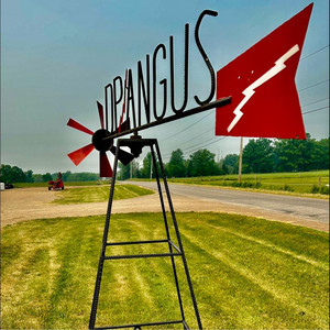 D/P Angus