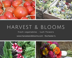 Harvest & Blooms Farm