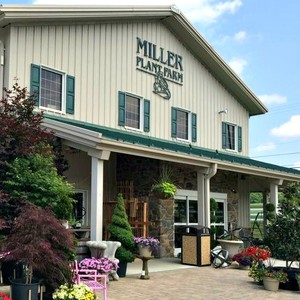 Miller Plant Farm
