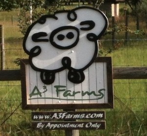 A3 Farms