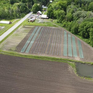 Brownson Family Farm