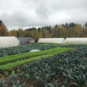 Abraham's Table Farm