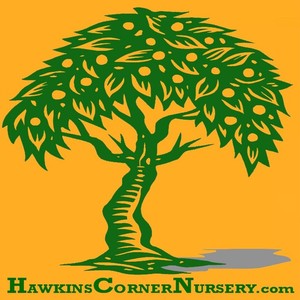 Hawkins Corner Nursery