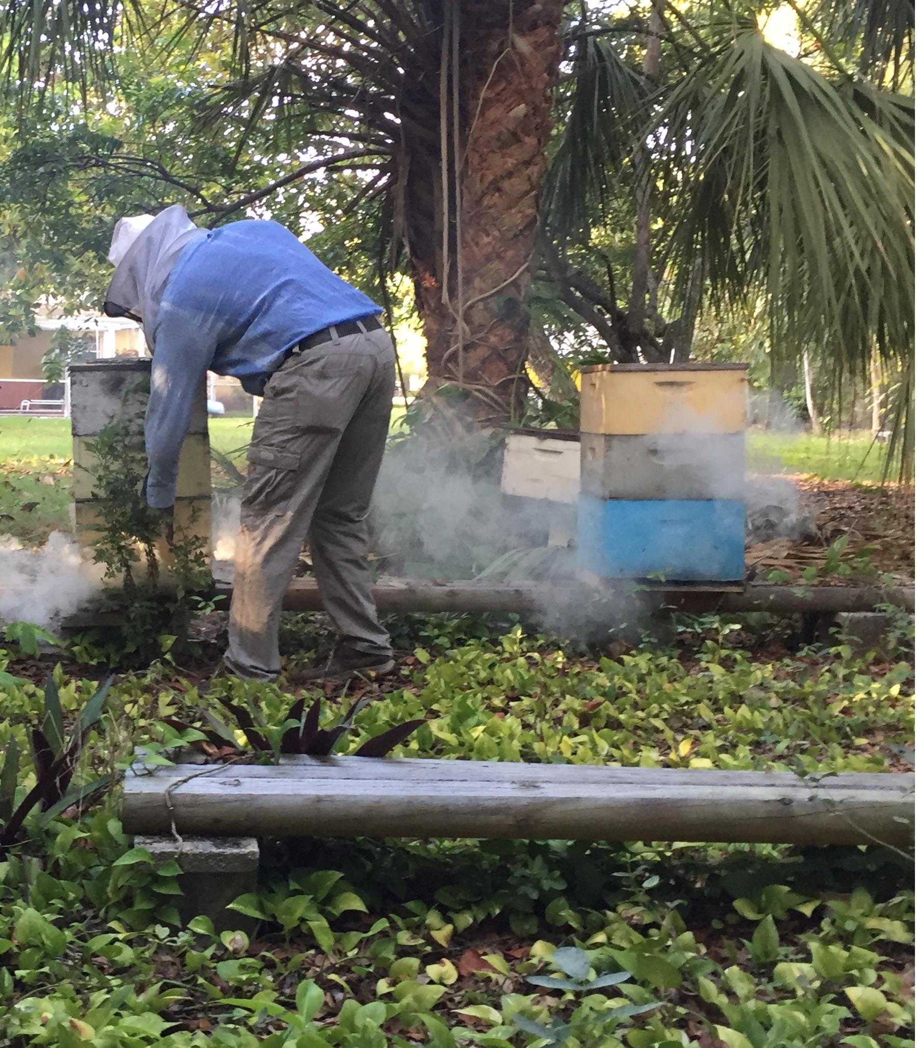 New Hive Delivery.jpg