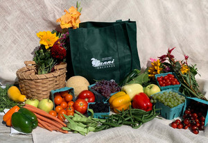 Lanni Orchards, Inc.