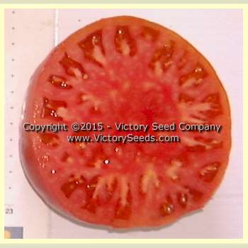 Brandywine, Sudduth Strain Tomato