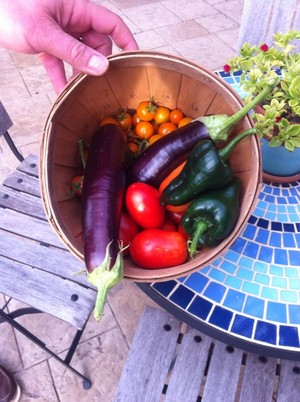 Grow Your Nutrition.