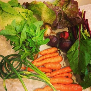 Crown Heights Farm Share (CSA)