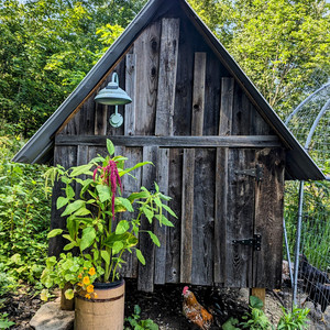 Gossamer Hill Farm