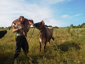 New Moon Farms