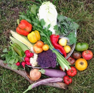 Love Farm CSA